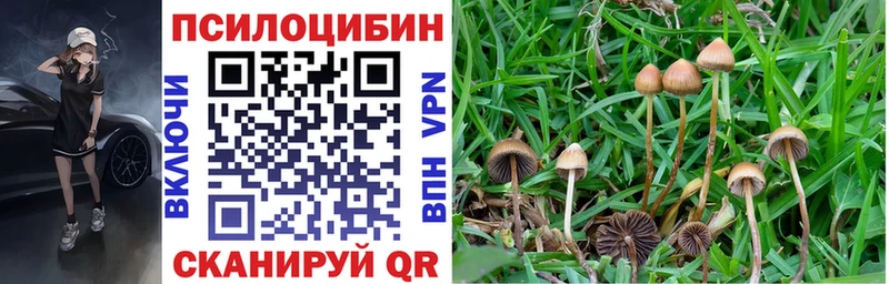 Псилоцибиновые грибы мицелий Велиж