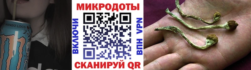 купить наркоту  Велиж  Псилоцибиновые грибы GOLDEN TEACHER 